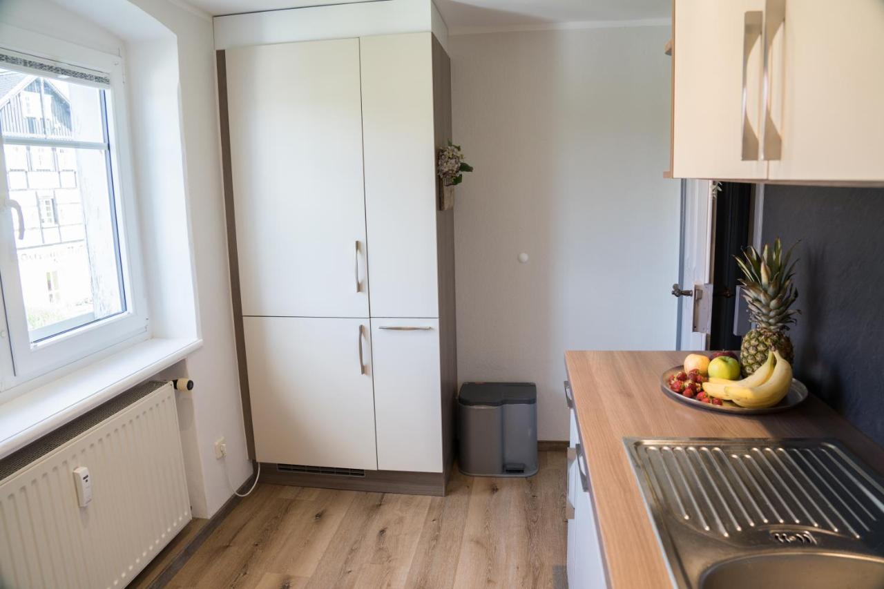 Appartement Urlaubsfreude Biedermann Haus Gluecksstein - Mondstein à Bad Schandau Extérieur photo